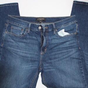 Banana Republic Girlfriend Jean